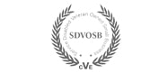 SDVOSB