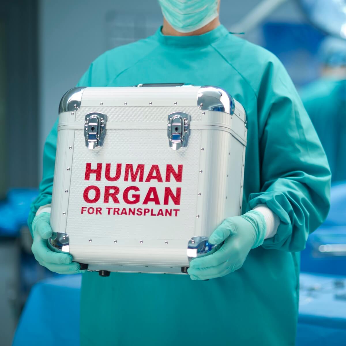 Organ Transplant Cooler