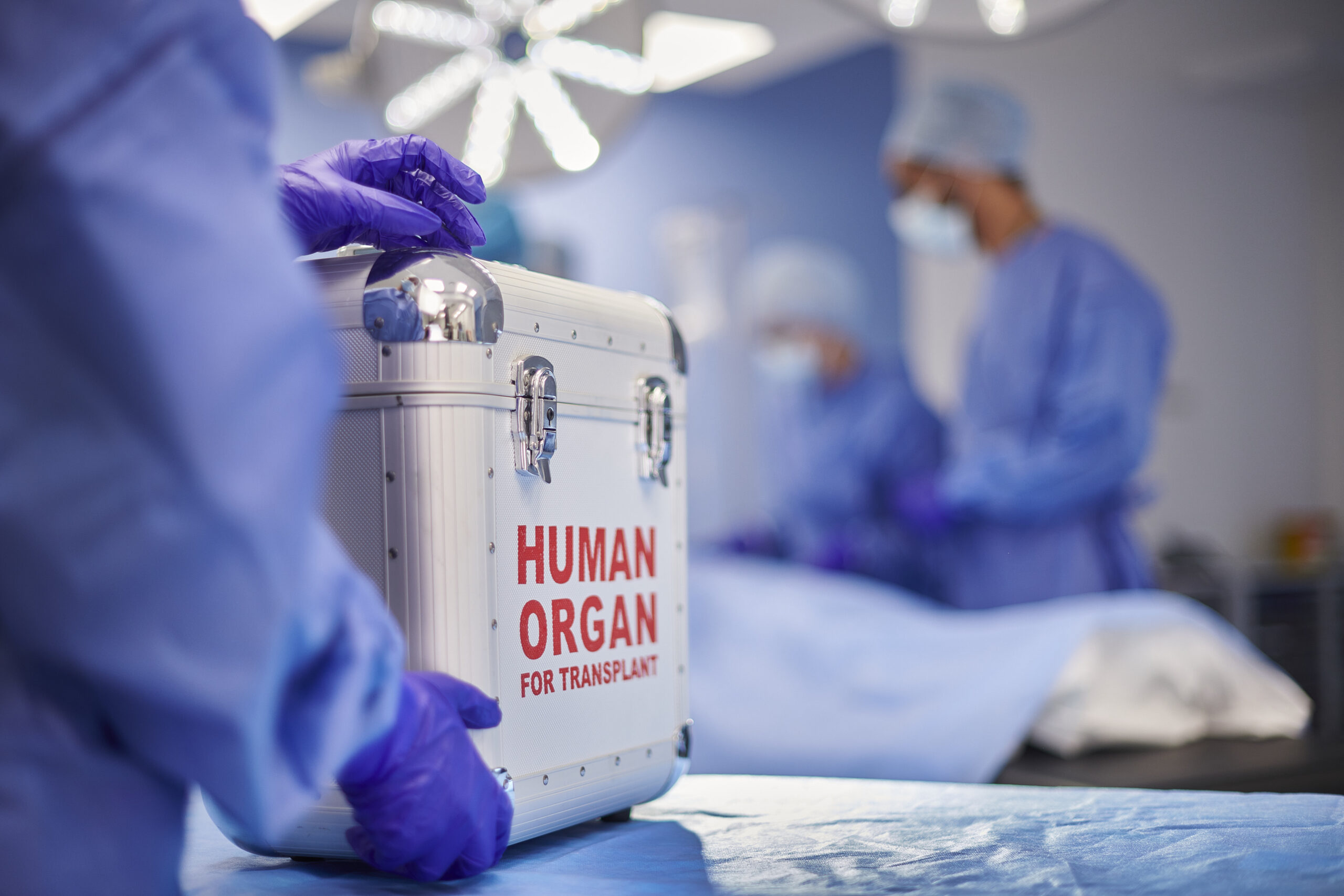 How Does Organ Donation Work?