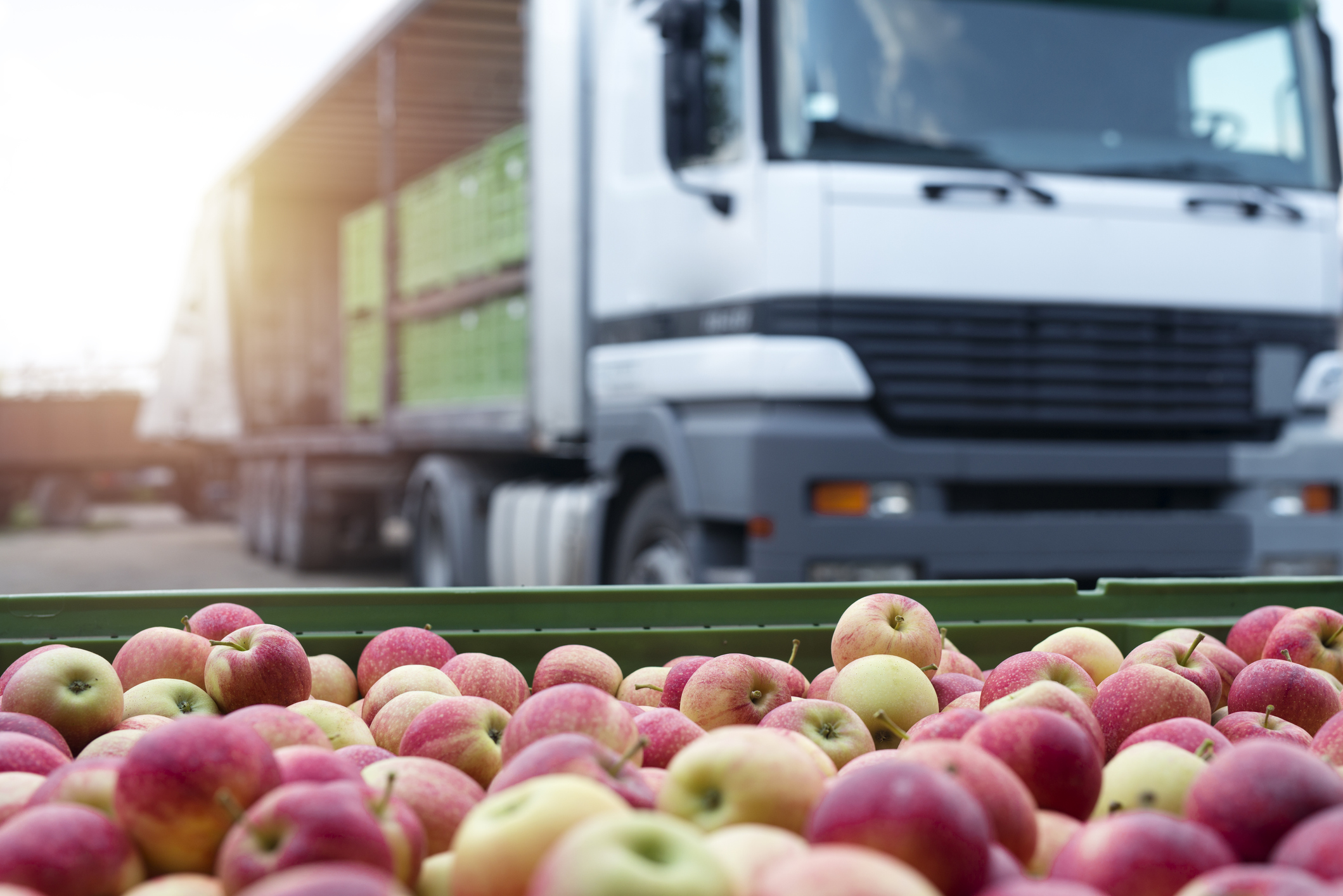 How Perishable Goods are Shipped